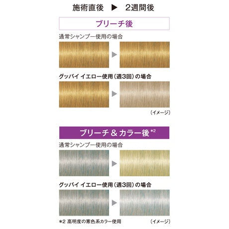 schwarzkopf 施華蔻 專業矯色髮露洗髪精 Goodbye Yellow Goodbye Orange 310g