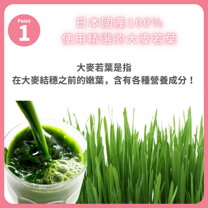 日本 伊藤園 毎日1杯の青汁 20包入 60包入 50包入