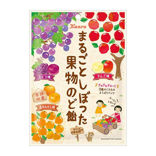 KANRO甘樂 糖果 水果潤喉糖 80g