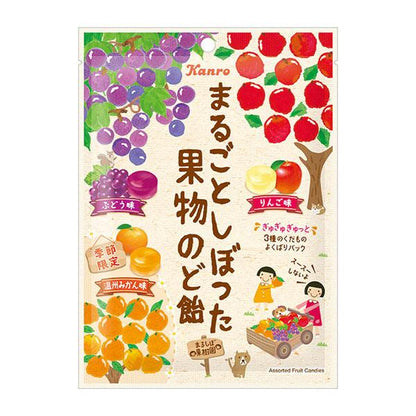KANRO甘樂 糖果 水果潤喉糖 80g
