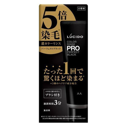 Mandom 潤髮乳 染色 LUCIDO 染色潤髮乳 PRO 完美黑色 120g