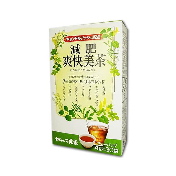 Gankochaya 輕盈美容茶 4g x 30 袋