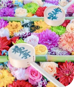 四条