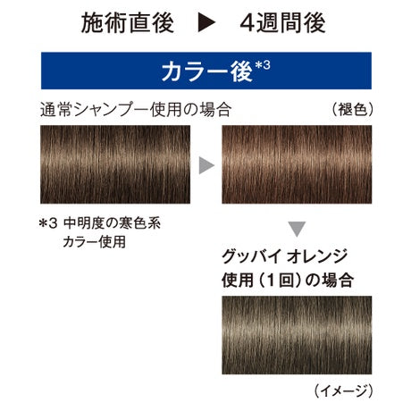 schwarzkopf 施華蔻 專業矯色髮露洗髪精 Goodbye Yellow Goodbye Orange 310g