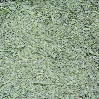 大井川茶園  煎茶 特惠包 含抹茶 1kg×1袋