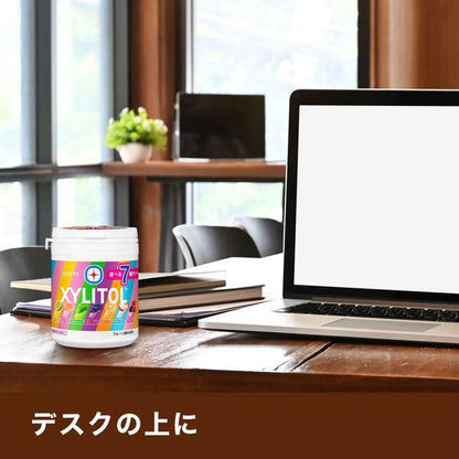 LOTTE XYLITOL 口香糖 木糖醇口香糖 7種綜合 瓶裝 1個