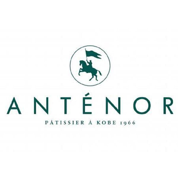 伴手禮 ANTENOR 比利時巧克力椰香餅乾禮盒 1箱 三越伊勢丹 附紙袋 *餅乾 巧克力 禮盒 禮品 下午茶點心
