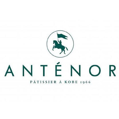 伴手禮 ANTENOR 比利時巧克力椰香餅乾禮盒 1箱 三越伊勢丹 附紙袋 *餅乾 巧克力 禮盒 禮品 下午茶點心