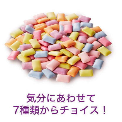 LOTTE XYLITOL 口香糖 木糖醇口香糖 7種綜合 瓶裝 1個