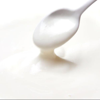 10個優酪乳的乳酸菌 （62粒)