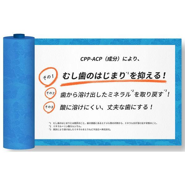 ReCALDENT 口香糖  瓶裝 R 1個 葡萄 柑橘 萊姆 莓果