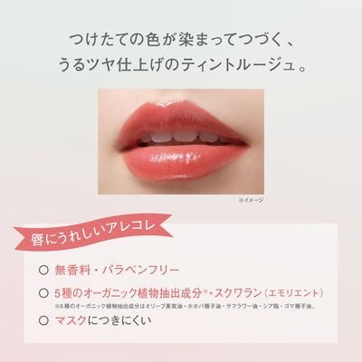 FASIO 菲希歐 口紅 全日藝術唇彩  KOSE 高絲