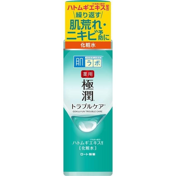 肌研 抗痘 極潤健康化粧水 不安定肌新對策 170ml 化妝水 極潤健康化粧水 補充包 170ml 樂敦製藥