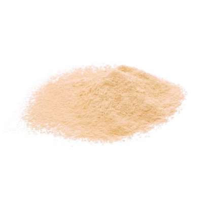 SANA 舞妓 蜜粉 N 02 膚色 (Sheer Beige) 10g