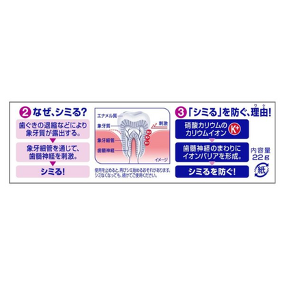 Sensodyne 舒酸定 護齦牙膏 高濃度氟素 1450ppm 22g