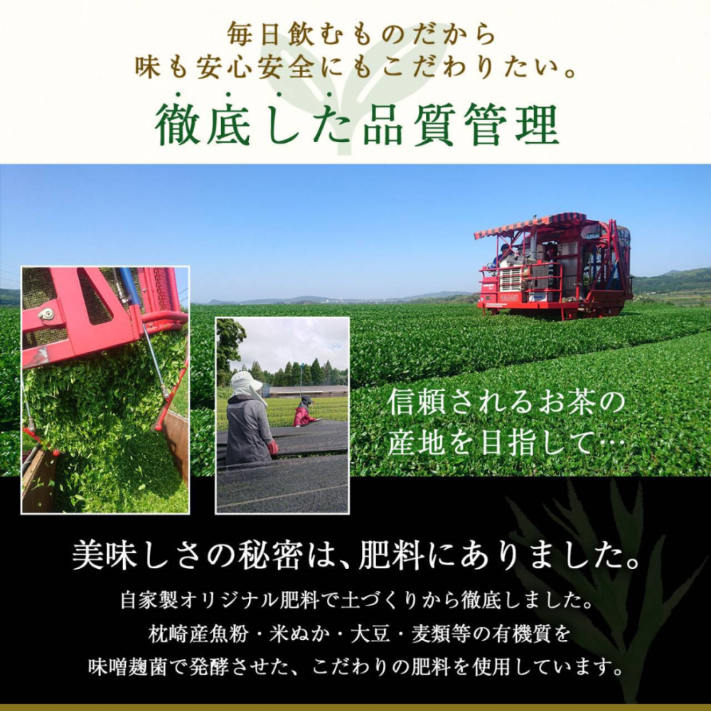 【鹿児島】厚生園 焙茶 福吉茶 Premium 特級 1袋(3g x 12包入)
