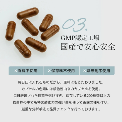 【鹿兒島】河内菌本舗 茶麴 酵素 1包( 62 粒入)
