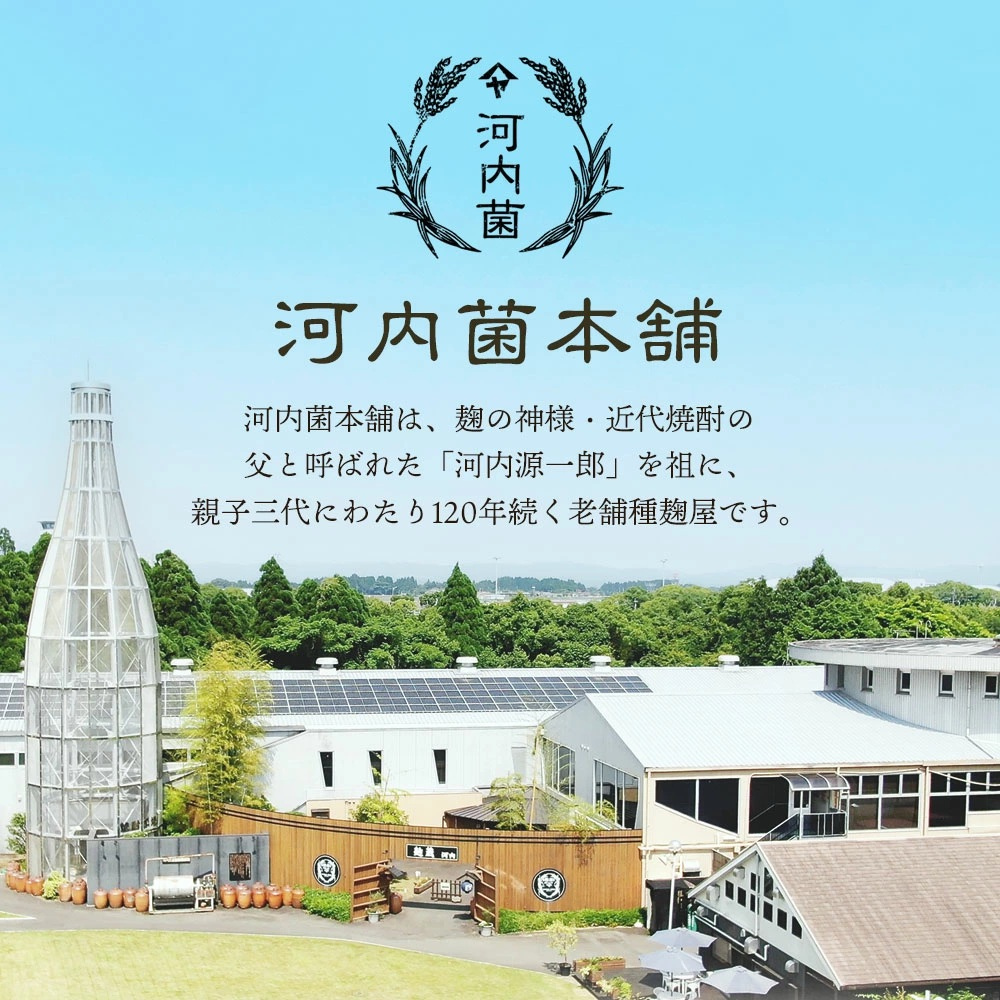 【鹿兒島】河内菌本舗 茶麴 酵素 1包( 62 粒入)