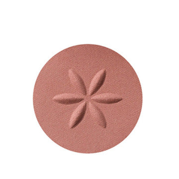 DECORTE 黛珂 AQ 眼影 霧面 02膚色淡紫 M 1g
